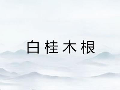 白桂木根