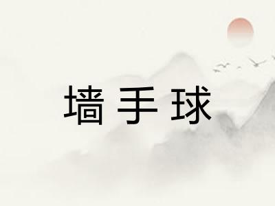 墙手球