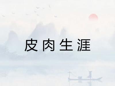 皮肉生涯