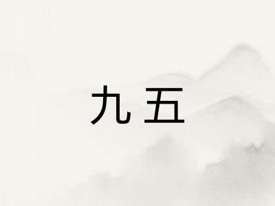 九五