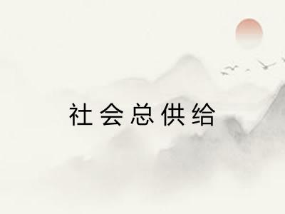 社会总供给