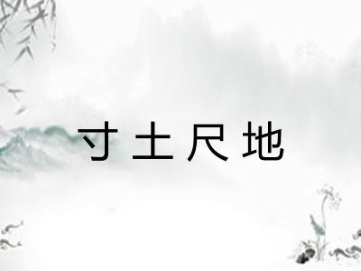 寸土尺地