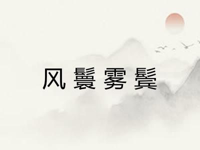 风鬟雾鬓