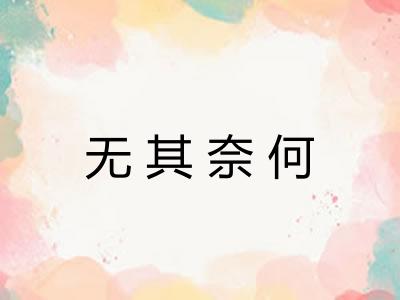 无其奈何