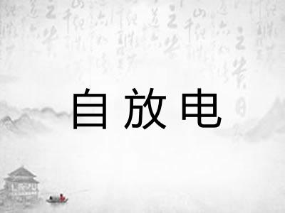 自放电