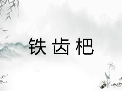 铁齿杷