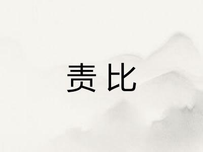 责比