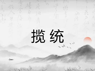 揽统