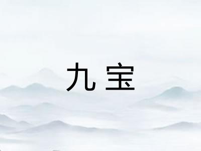 九宝