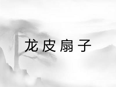 龙皮扇子