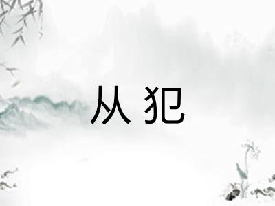 从犯