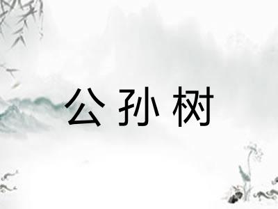 公孙树