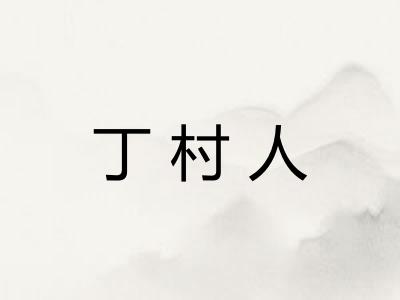 丁村人