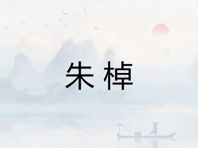朱棹