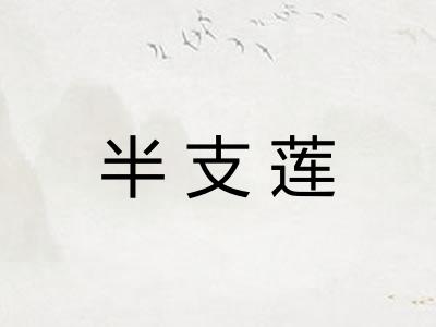 半支莲
