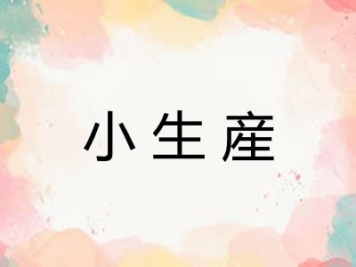 小生産