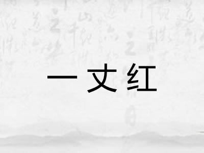一丈红