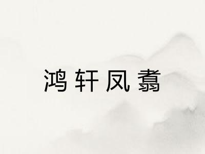 鸿轩凤翥
