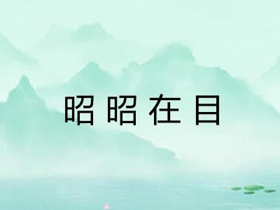 昭昭在目