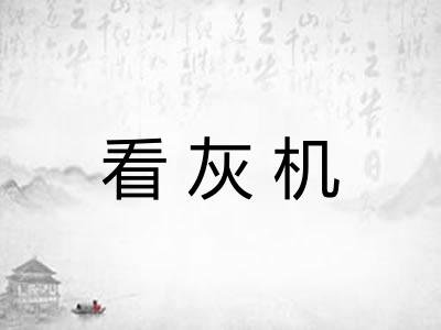 看灰机
