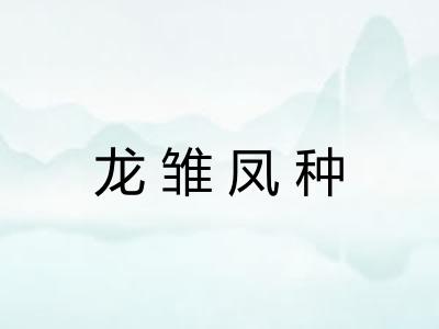 龙雏凤种
