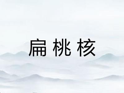 扁桃核