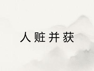 人赃并获