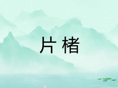 片楮