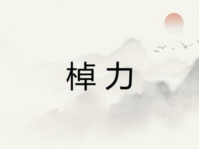 棹力