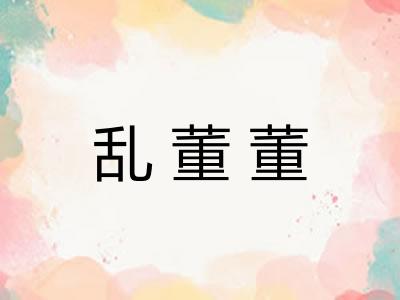 乱董董