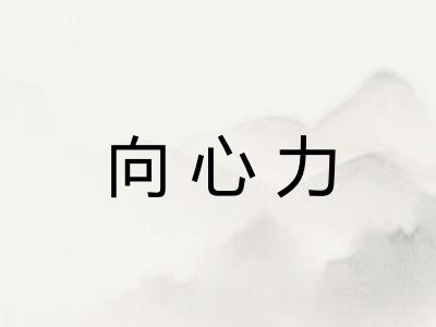 向心力
