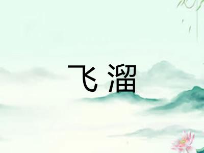 飞溜