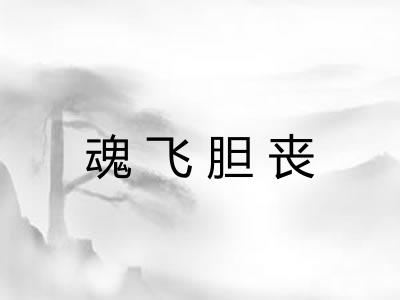 魂飞胆丧