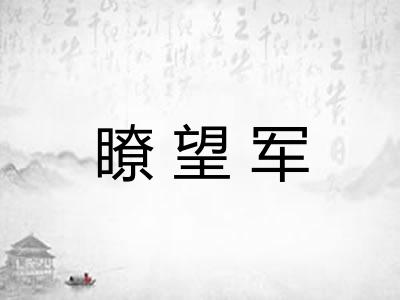 瞭望军