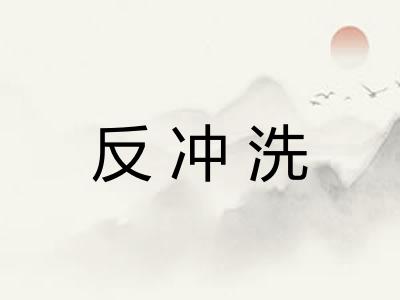 反冲洗