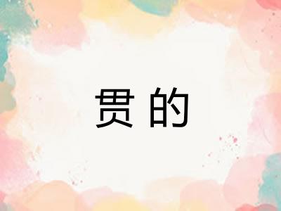 贯的