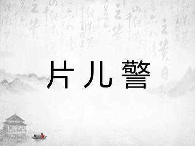 片儿警