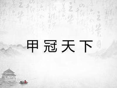 甲冠天下