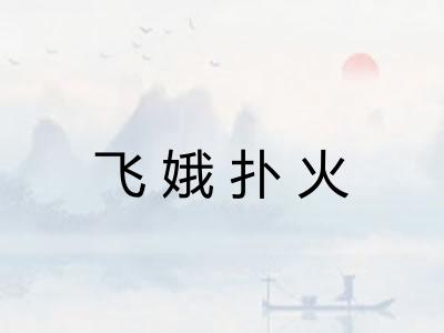 飞娥扑火