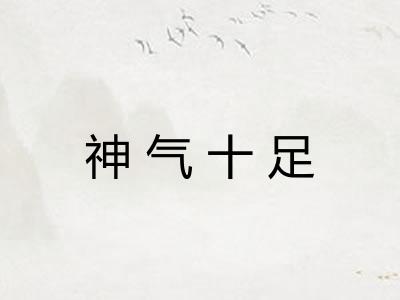 神气十足