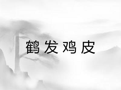 鹤发鸡皮