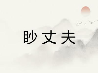眇丈夫