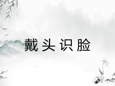 戴头识脸