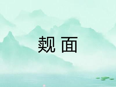 觌面