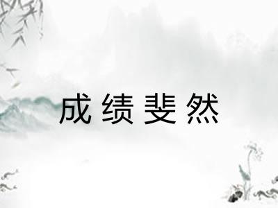成绩斐然