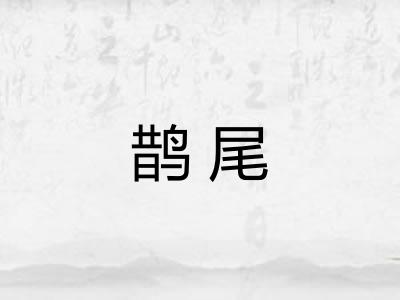 鹊尾