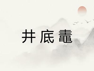井底鼃
