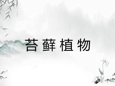 苔藓植物