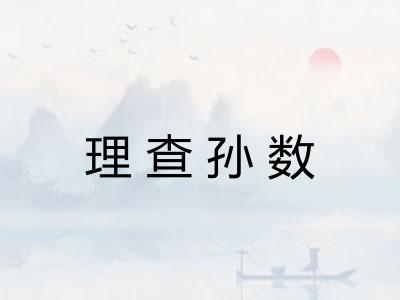 理查孙数