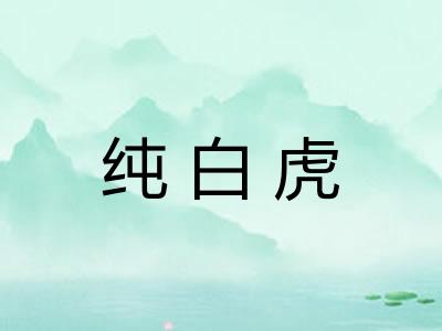 纯白虎